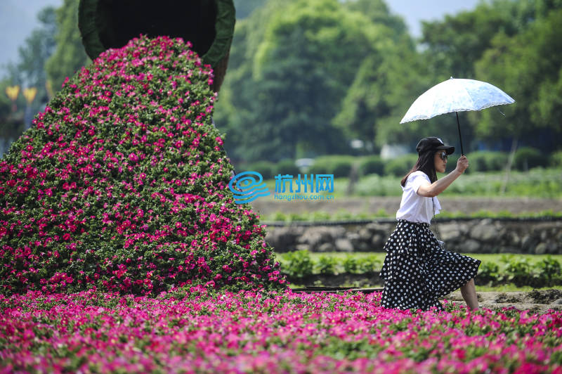 杭州富阳乡村百花大会启幕