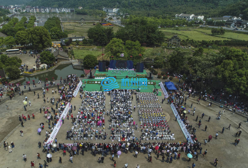 杭州富阳乡村百花大会启幕