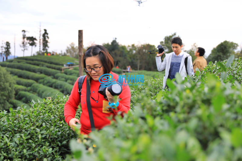 2016中国杭州大学生旅游节龙坞茶村摄影采风(09)