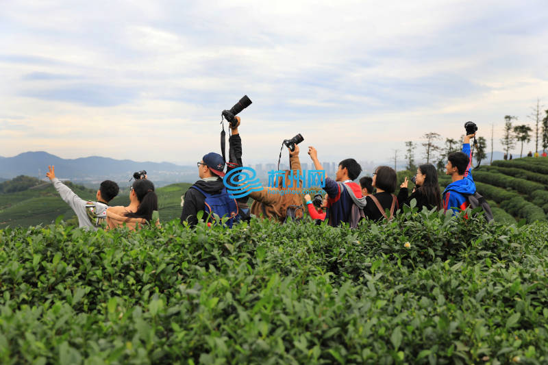 2016中国杭州大学生旅游节龙坞茶村摄影采风(08)