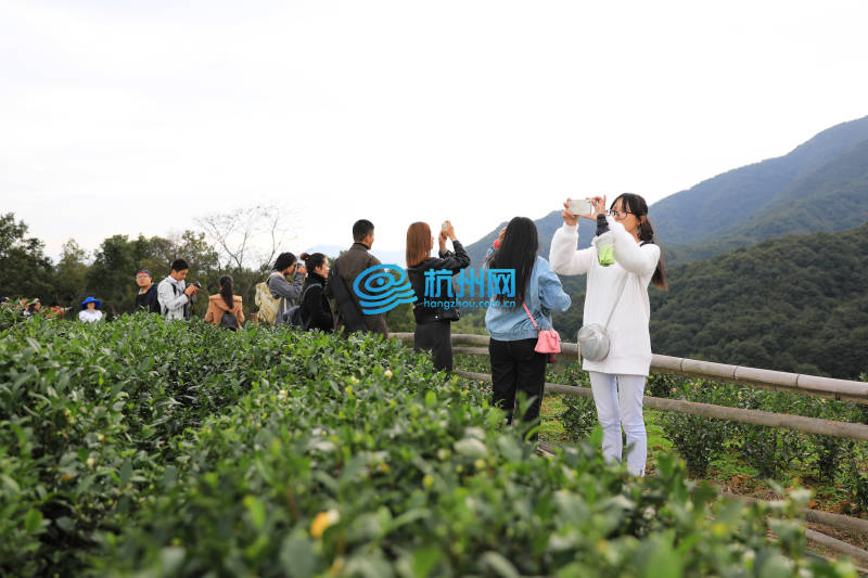 2016中国杭州大学生旅游节龙坞茶村摄影采风(05)