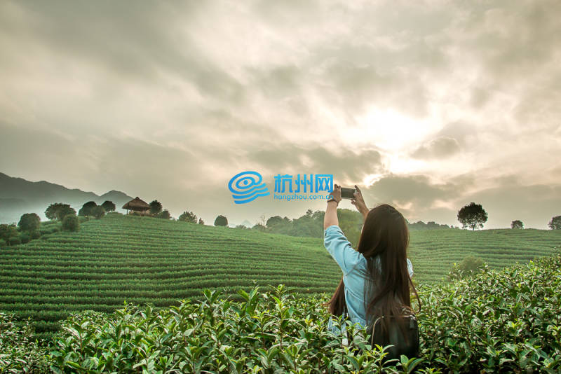 2015中国杭州大学生旅游节主题摄影大赛相机类获奖作品(03)