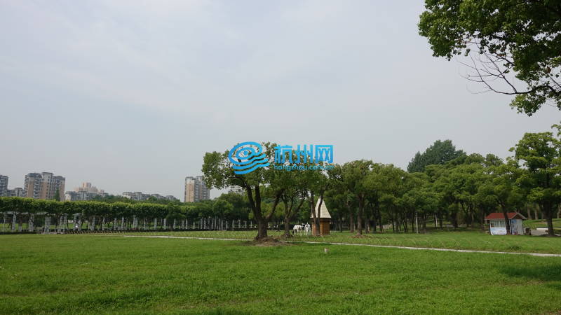 上海静安区河道风景(06)