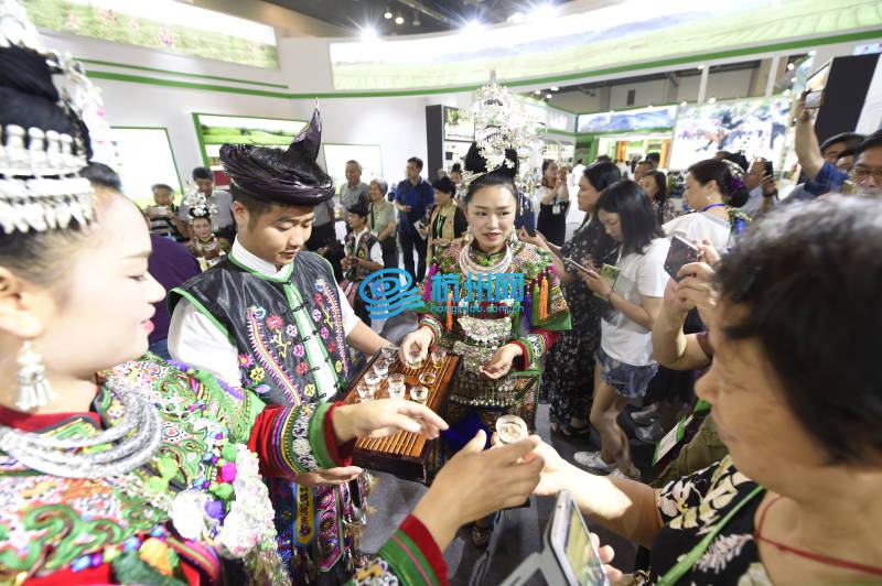 1500家企业近万种茶汇聚 第二届中国国际茶叶博览会开幕(06)