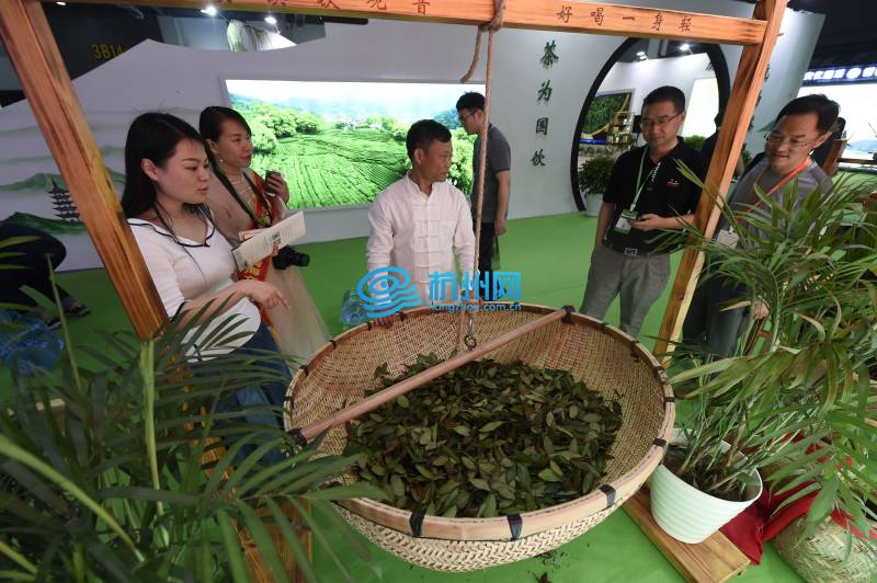 1500家企业近万种茶汇聚 第二届中国国际茶叶博览会开幕(12)
