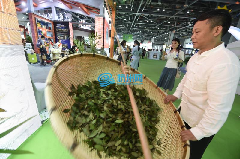 1500家企业近万种茶汇聚 第二届中国国际茶叶博览会开幕(14)