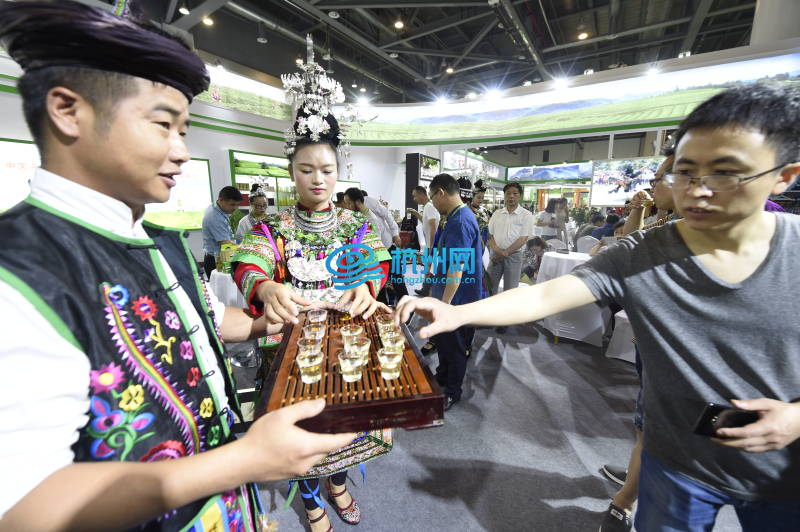 1500家企业近万种茶汇聚 第二届中国国际茶叶博览会开幕(05)