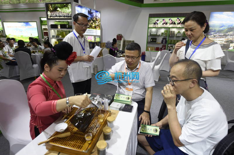 1500家企业近万种茶汇聚 第二届中国国际茶叶博览会开幕(04)