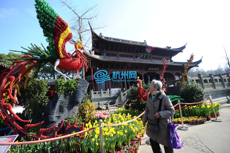 西湖迎春花展绽放钱王祠(09)