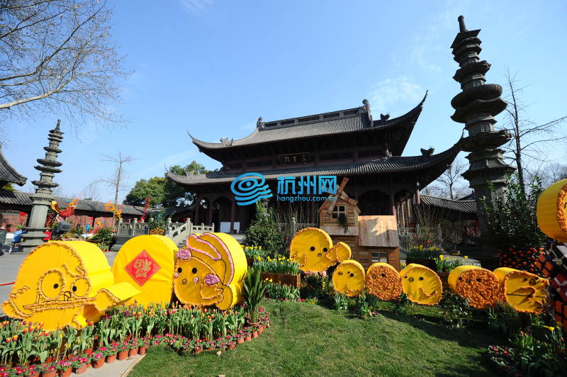 西湖迎春花展绽放钱王祠(05)