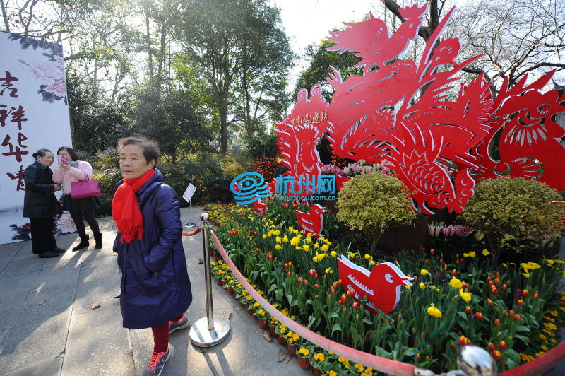 西湖迎春花展绽放钱王祠(01)