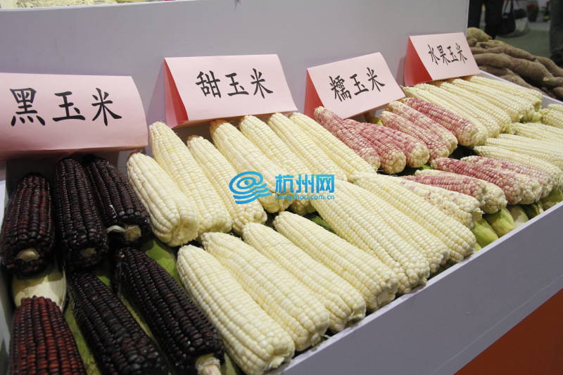 2018浙江省农商对接大会知名品牌农产品展示展销会(33)