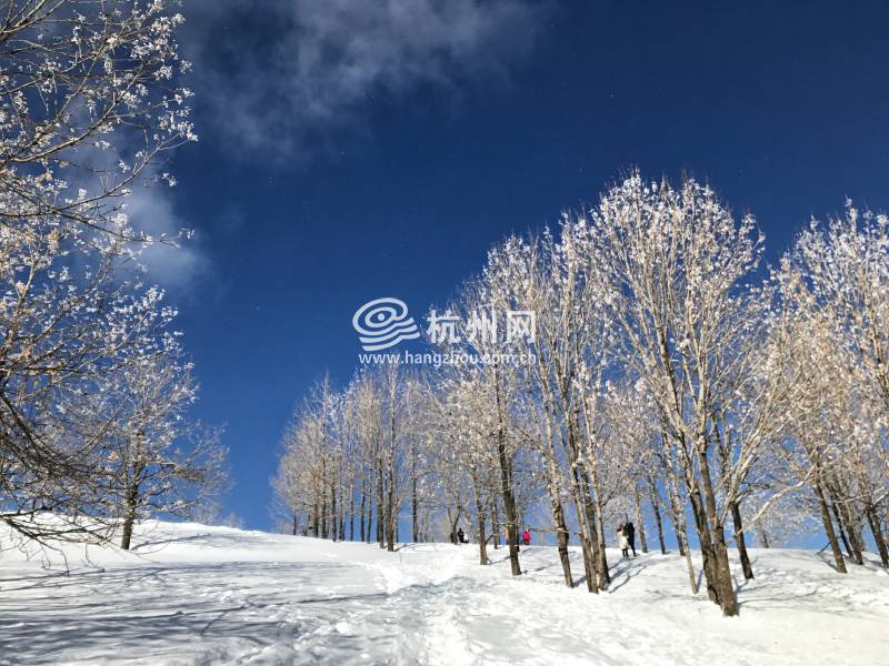 雪乡(06)