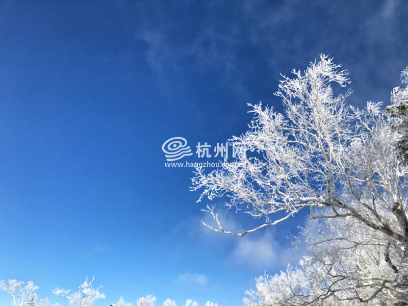 雪乡(04)