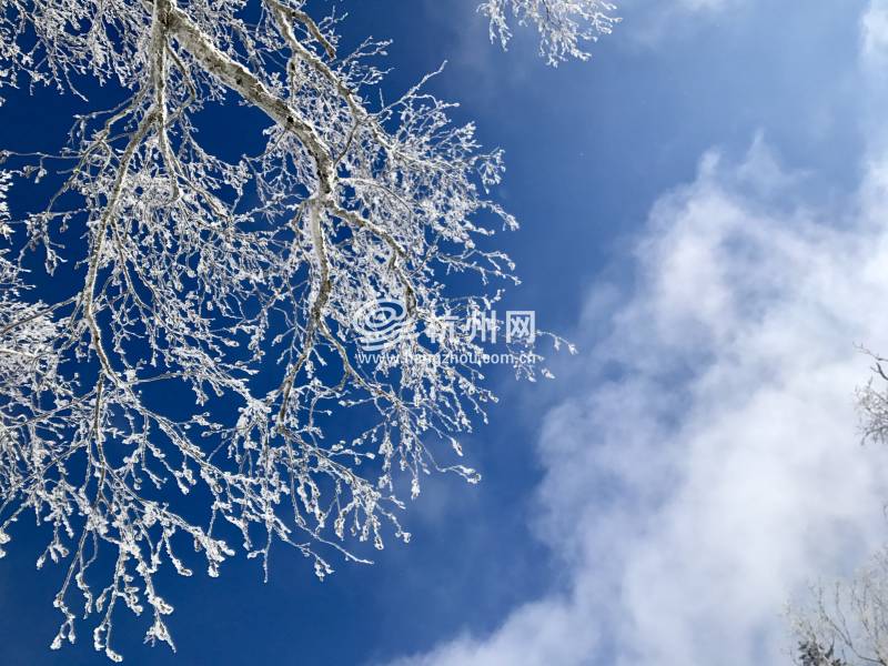 雪乡(05)