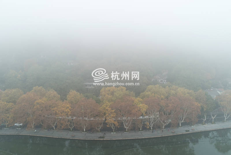 西湖大雾(11)