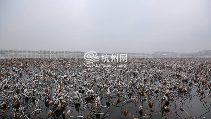 速围观杭州2018年最后一场雪 多视角领略雪中西湖之美（组图）(08)