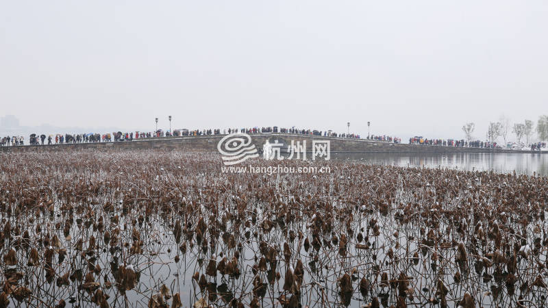 速围观杭州2018年最后一场雪 多视角领略雪中西湖之美（组图）(05)