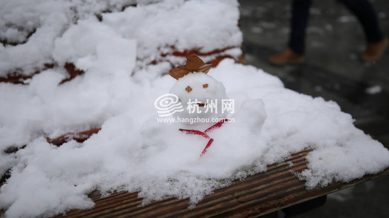 速围观杭州2018年最后一场雪 多视角领略雪中西湖之美（组图）(07)