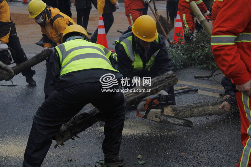 杭州备战下一场雪！抗雪防冻应急演练很认真！(33)