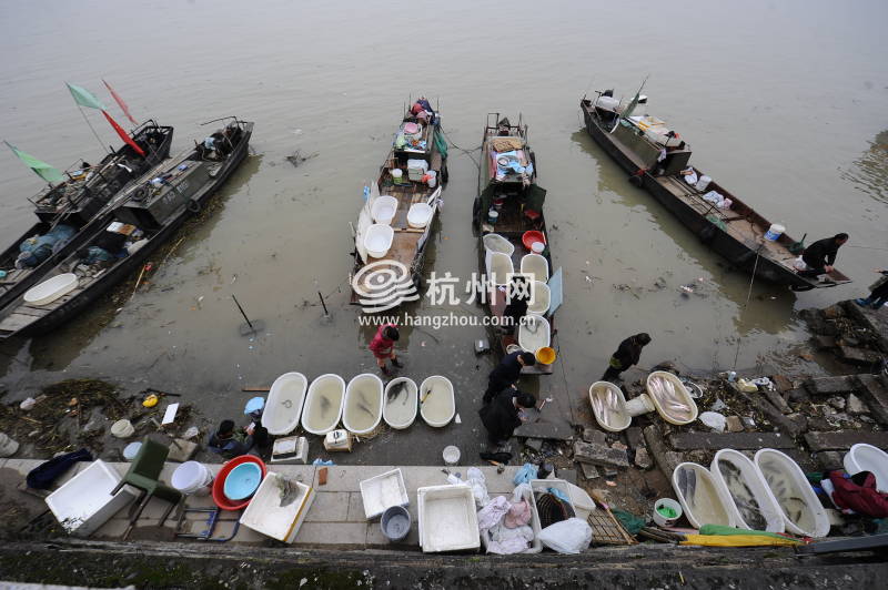 钱塘江渔民禁渔4个月 江边传统渔市即将消失(13)
