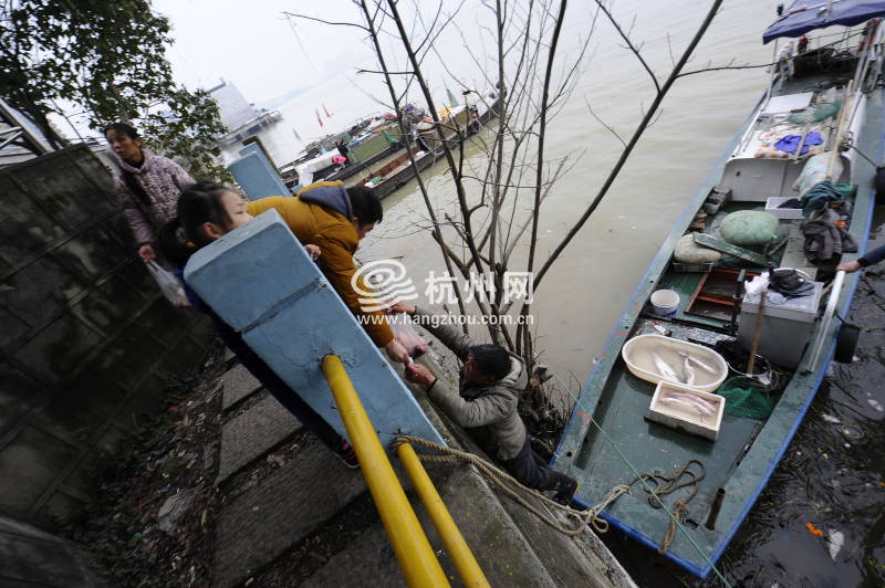 钱塘江渔民禁渔4个月 江边传统渔市即将消失(10)