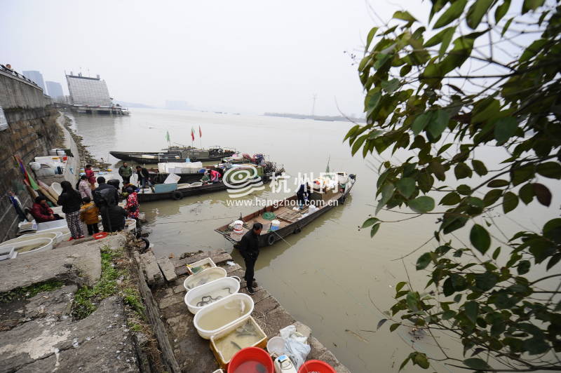 钱塘江渔民禁渔4个月 江边传统渔市即将消失(09)
