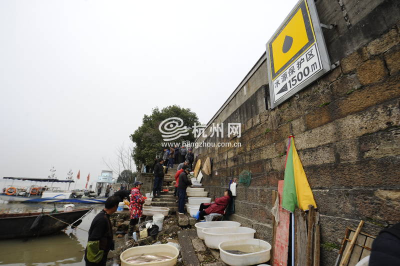 钱塘江渔民禁渔4个月 江边传统渔市即将消失(05)