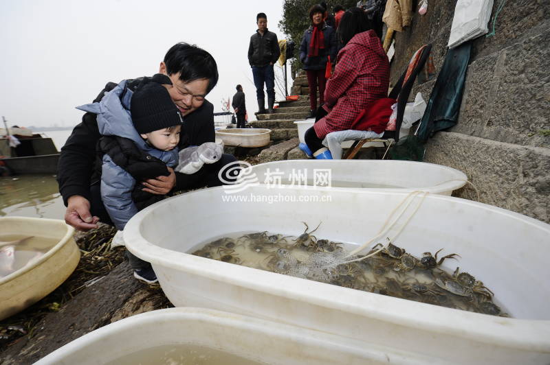 钱塘江渔民禁渔4个月 江边传统渔市即将消失(06)