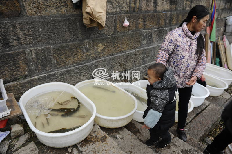 钱塘江渔民禁渔4个月 江边传统渔市即将消失(04)