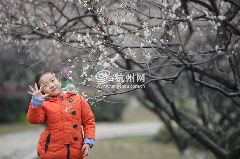 暂别阴雨梅花正盛 超山赏梅正当时！（组图）(10)