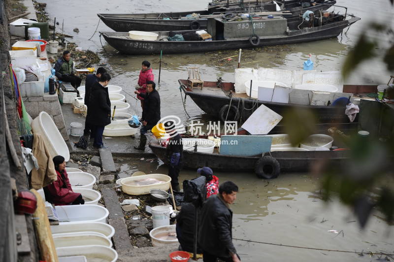 钱塘江渔民禁渔4个月 江边传统渔市即将消失(12)
