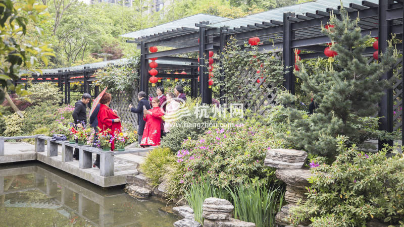 杭州唯一的杜鹃花主题公园迎来盛花期(04)