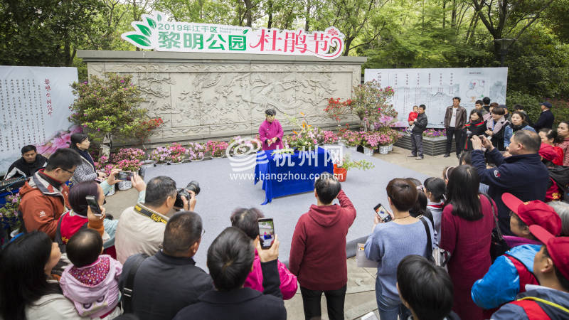 杭州唯一的杜鹃花主题公园迎来盛花期(01)