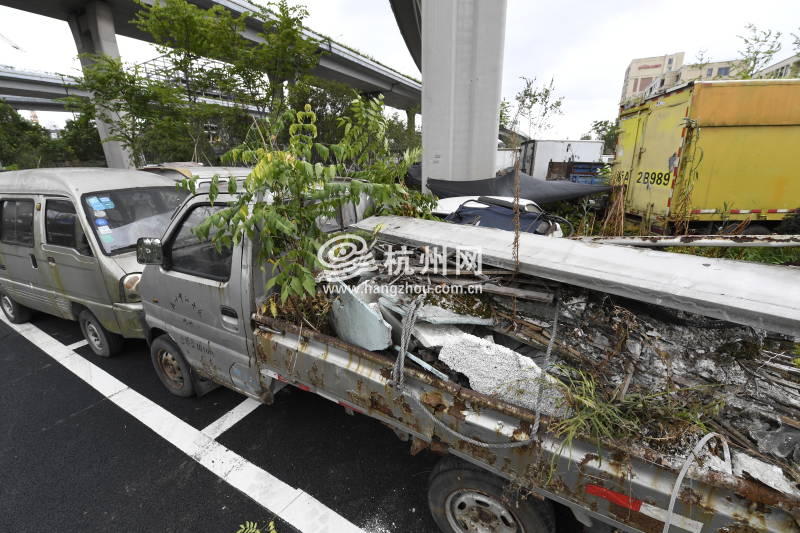 杭州重拳整治“僵尸车”已有近百辆车被拖移(06)