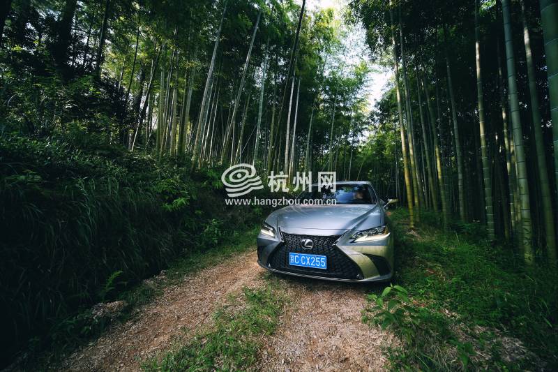 雷克萨斯ES260 F SPORT(18)