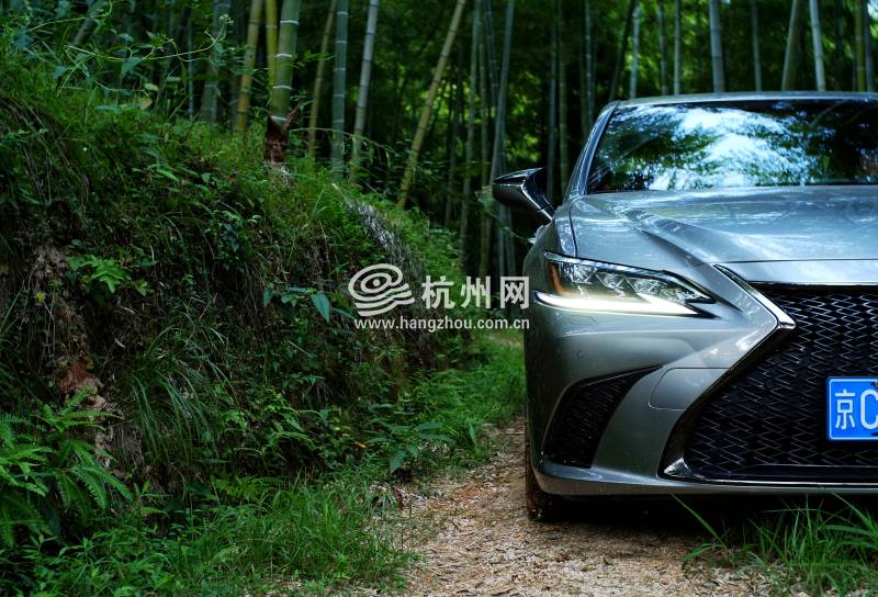 雷克萨斯ES260 F SPORT(19)