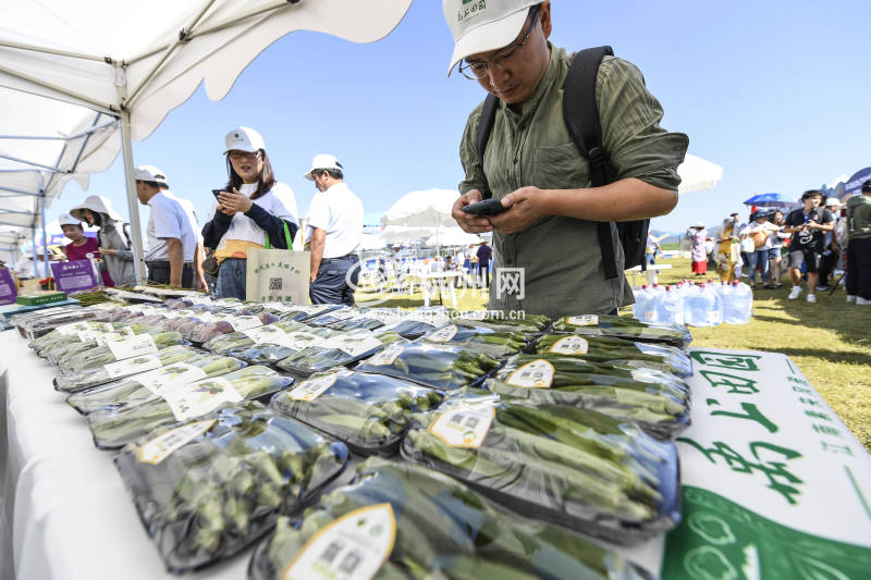 杭州2019 年“美丽乡村丰收节” 在余杭良渚盛大启动(04)