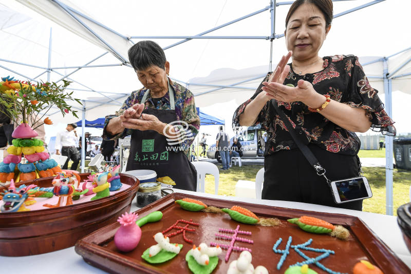 杭州2019 年“美丽乡村丰收节” 在余杭良渚盛大启动(06)