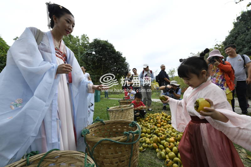 火柿丰收庆华诞 第十五届西溪火柿节启幕(07)