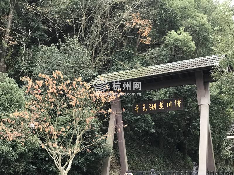 千岛湖龙川湾(01)