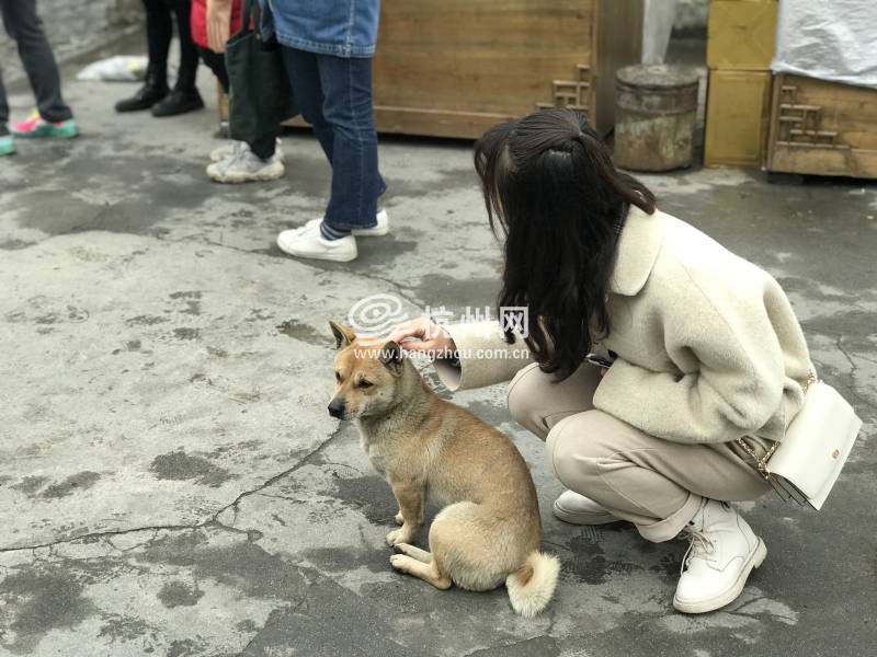 宏村---“画里乡村”(20)