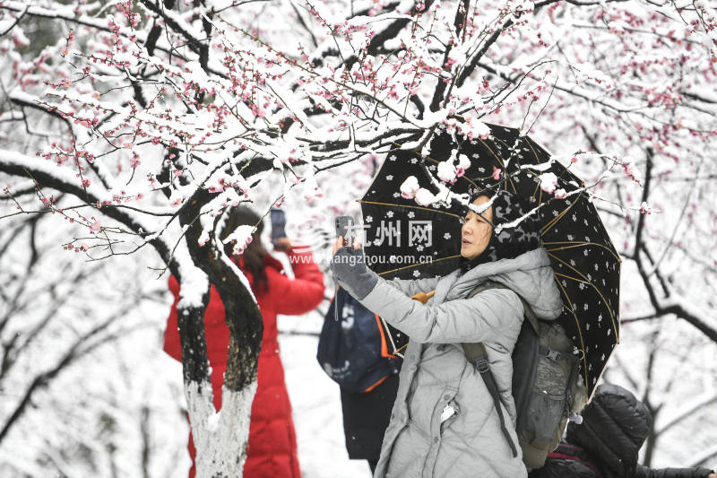 杭州迎来了虎年开工的第一场大雪(10)