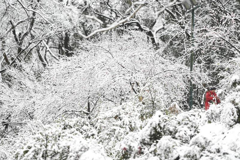杭州迎来了虎年开工的第一场大雪(08)