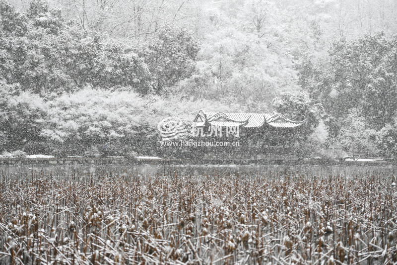 杭州迎来了虎年开工的第一场大雪(02)