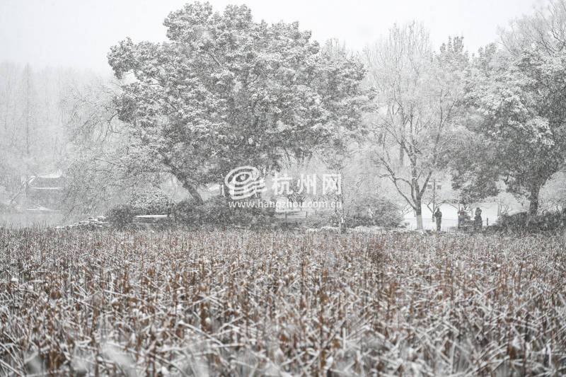 杭州迎来了虎年开工的第一场大雪(01)