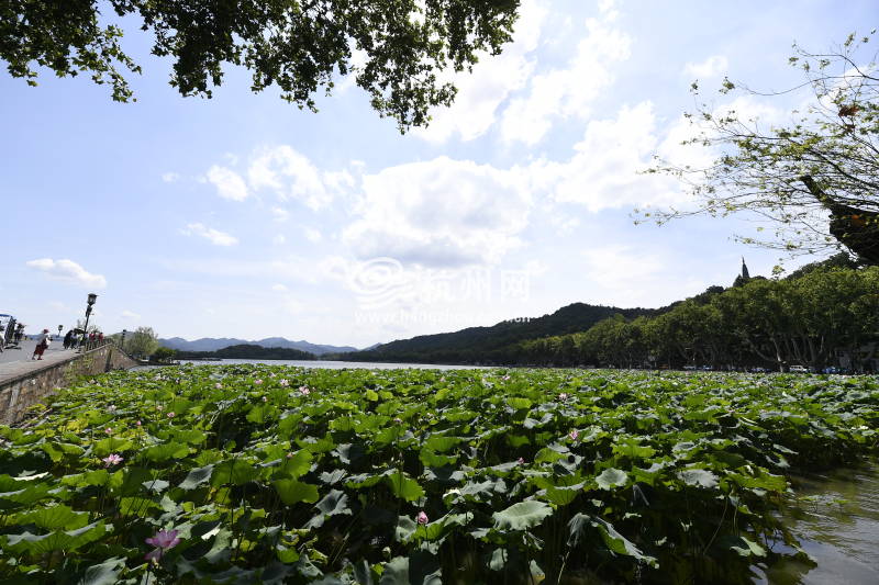 西湖天气(05)