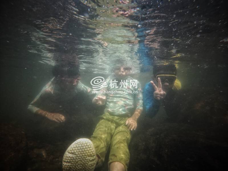 热到化！杭州市民选择“潜水”“摸鱼”(30)
