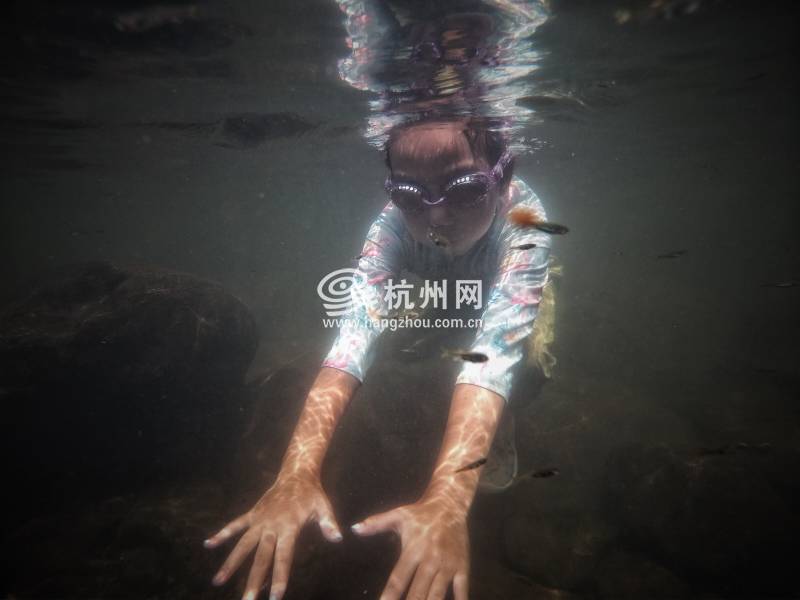 热到化！杭州市民选择“潜水”“摸鱼”(22)