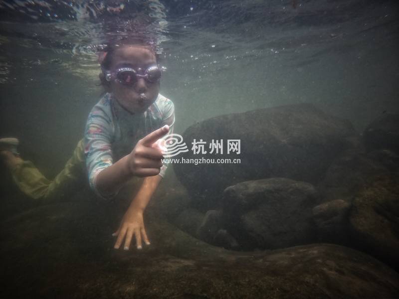 热到化！杭州市民选择“潜水”“摸鱼”(33)